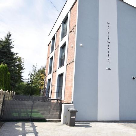 Katowice Chorzow Park Stadion Slaski Apartmenty Siemianowice Śląskie 외부 사진